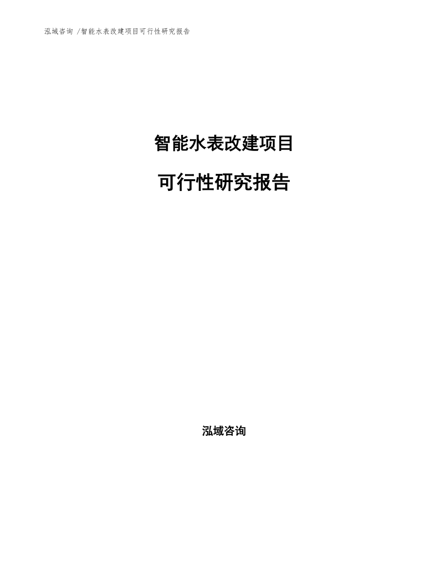 智能水表改建項目可行性研究報告參考模板